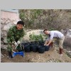 034-the planter.jpg